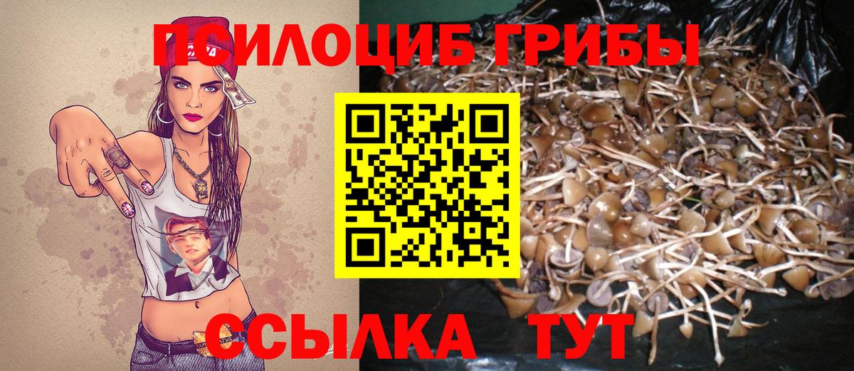 Краснотурьинск  Галлюциногенные грибы GOLDEN TEACHER  Вход с VPN 
