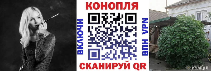Бошки Шишки план  Краснотурьинск 